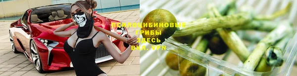 стафф Алексеевка