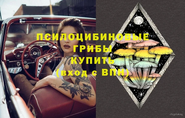 шишки Алексин