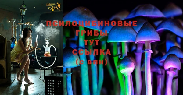 шишки Алексин