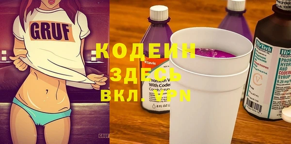 шишки Алексин