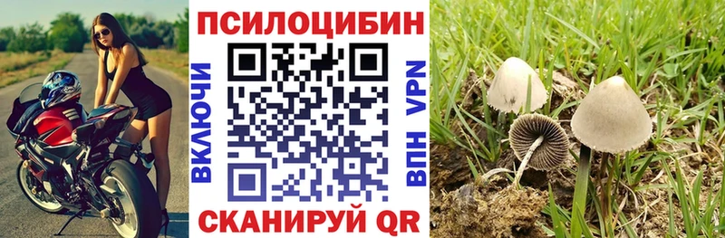 Галлюциногенные грибы мухоморы  Лабинск 